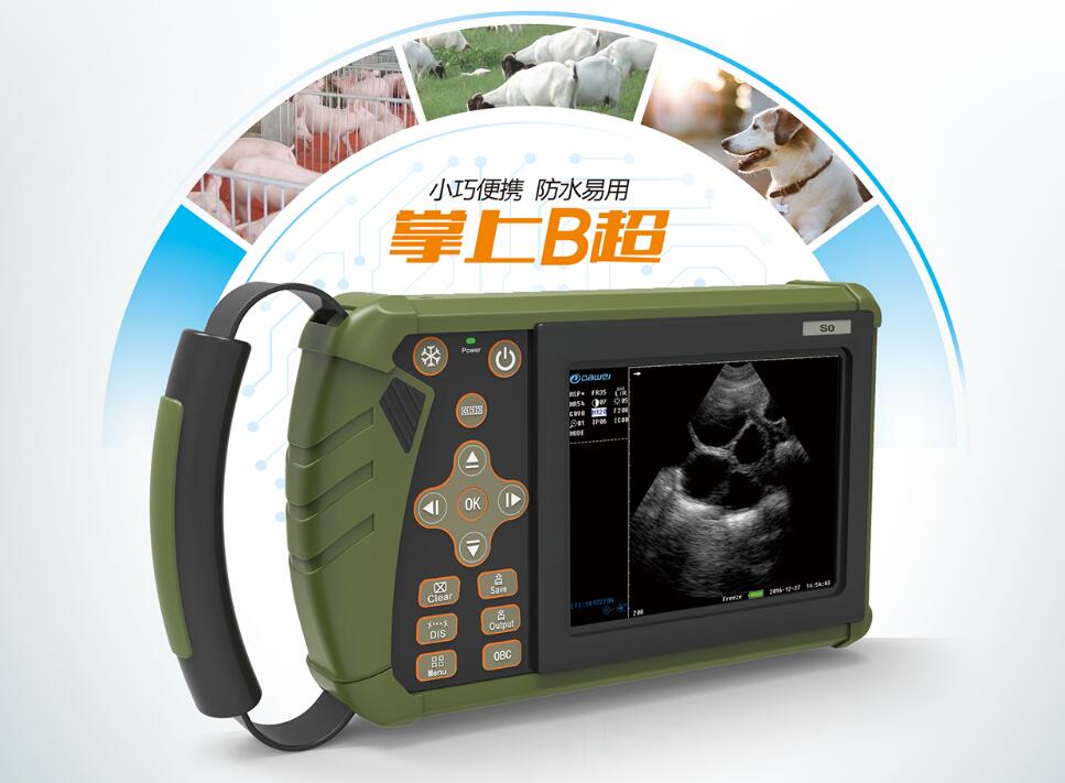 獸用B超機,獸用b超,獸用孕檢B超,直腸檢查