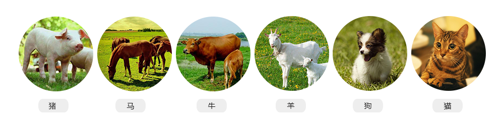 獸用b超機適用對象