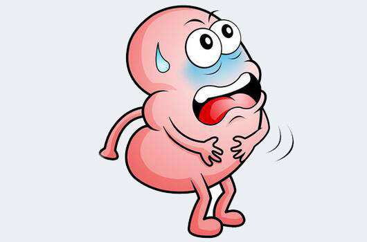 腎臟B超與腎臟彩超區(qū)別？